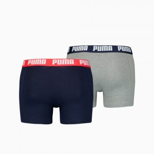 Ropa Interior Puma Basic Boxers 2 Pack Hombre Azules Grises | 9243108-TW