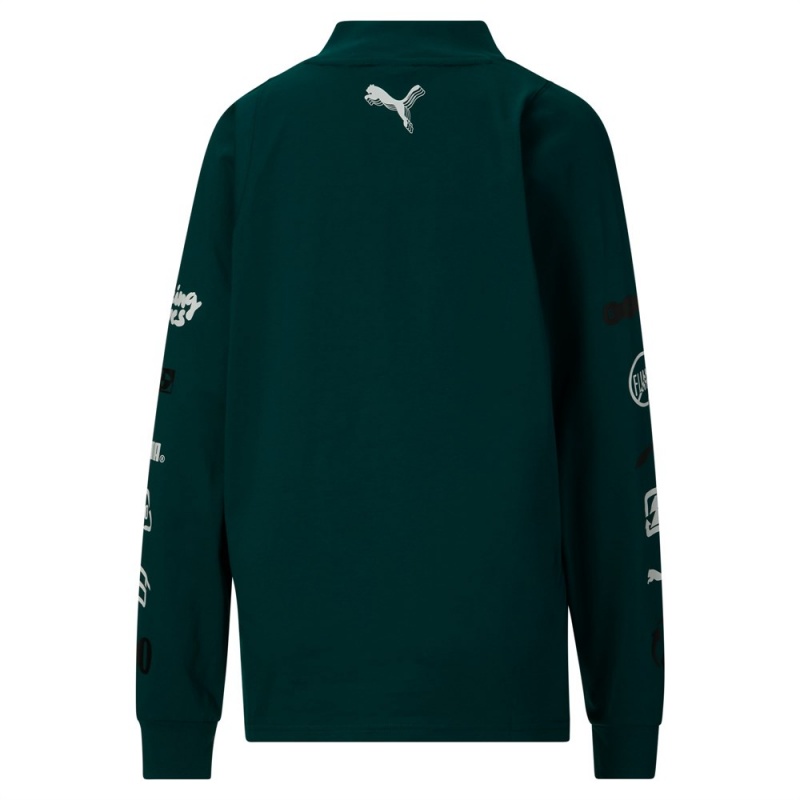 Camiseta Puma STEWIE x REINTRODUCE Long Sleeve Tee Mujer Verdes | 8052394-DB